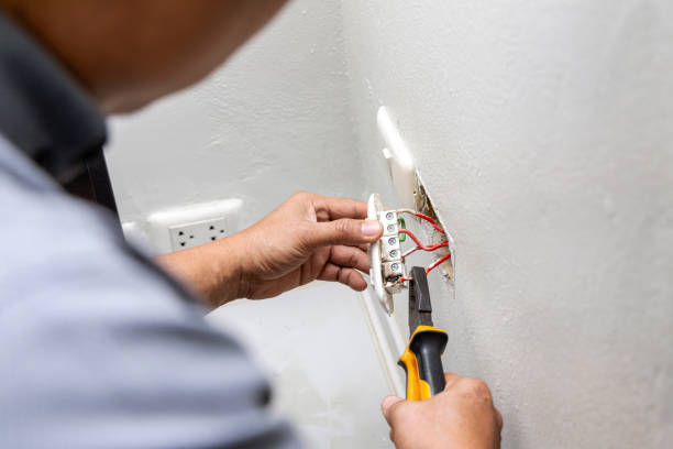 Best Electrical Upgrades for Homes  in Level Plains, AL