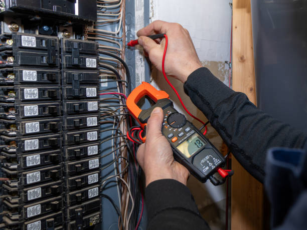 Best Residential Electrician Services  in Level Plains, AL